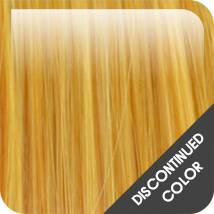 Golden Blonde Color Swatch