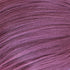 Color Sample - Dark Plum Purple